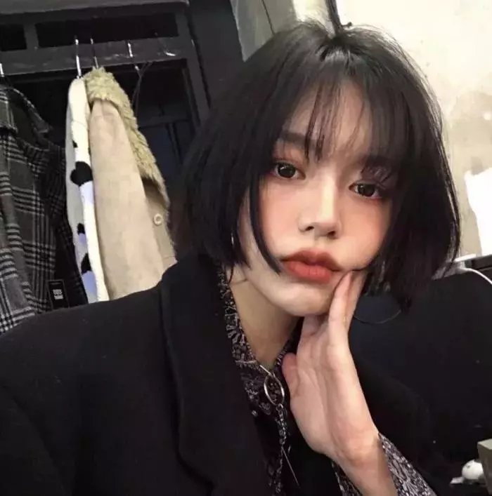 鱼与猫